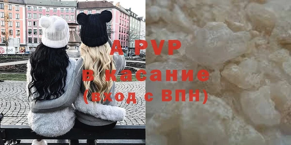 бошки Белокуриха