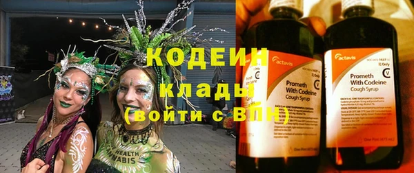 бошки Белокуриха