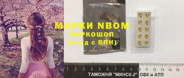 бошки Белокуриха